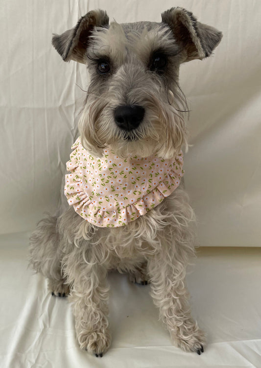 Daisy Ruffle Dog Bandana