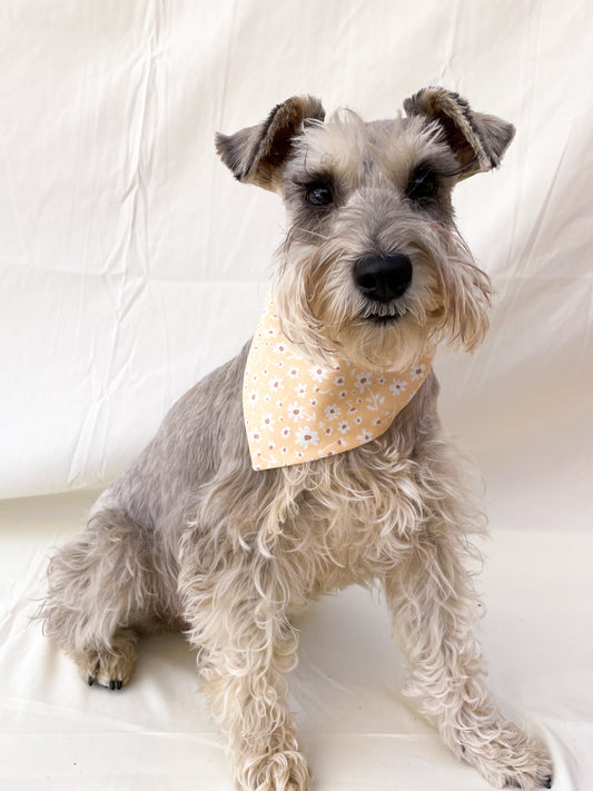 Yellow Floral Dog Bandana